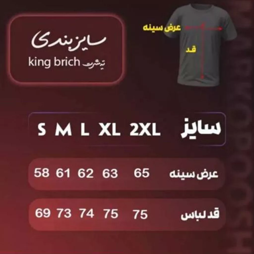 تیشرت بیسیک king brich برند king brich رنگ مشکی